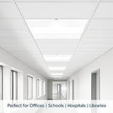 Ceiling with recessed lighting fixtures in an office setting at SwitchToLED