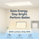 Ceiling light fixture with text 'Save Energy. Stay Bright. Perform Better.' in an office setting at SwitchToLED