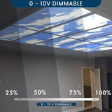 2x2 LED Sky Ceiling Panels dimmable 0 to 10v