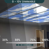 2x4 LED sky panel lights with 0–10V dimming showing 25%, 50%, 75% and 100% brightness levels in recessed drop ceiling