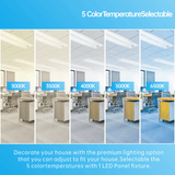switchtoled 2x4 light fixture 5cct color temperature