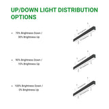 Diagram showing up/down light distribution options with brightness percentages.