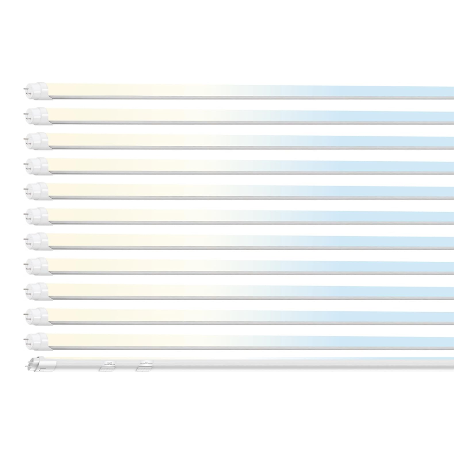12 pack 4ft t8 led light tube on a white background