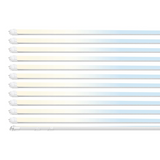 12 pack 4ft t8 led light tube on a white background