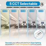 Office lighting comparison displaying five selectable color temperatures from warm 3000K to cool 6500K, illustrating different ambiance effects.