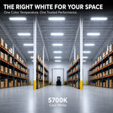 320W LED Linear High Bay Light, 44,800 Lumens, 5000K Daylight White, 1000W Metal Halide Equivalent, 140 LM/W, 0-10V Dimmable, 90° Beam Angle, UL cUL DLC 5.1 Premium, 120-277V Commercial Warehouse Lighting