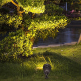 led flood light bulbs real application