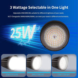 LED Flood Light selectable wattage