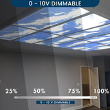 LED Panel Light 2x4 – Sky Panels dimmable at switchtoled.com