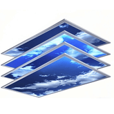 LED Panel Light 2x4 – Sky Panels at switchtoled.com