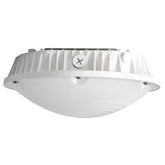 LED Round Canopy Light 30W/40W/60W Selectable, 5400-10800 Lumens, 5000K Daylight,