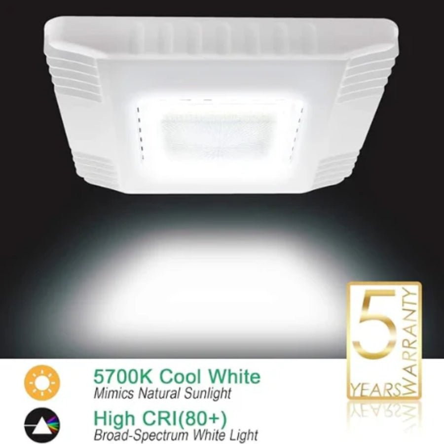 switch to led canopy light cool white 5700k color temperature
