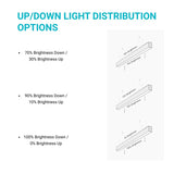 Diagram showing up/down light distribution options with brightness percentages.