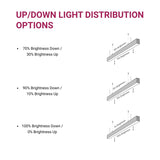 switchtoled linear light fixtures 4ft up and down distribution option