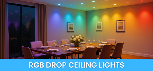 Smart RGB Ceiling Lights with App Control