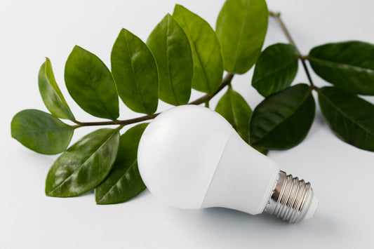 LED vs CFL light bulb at switchtoled 