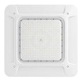 Front view of 240W LED canopy light with high-density LED array for bright commercial lighting