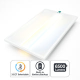 Lighting device with color temperature and lumens information on a white background at SwitchToLED