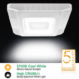 Pallet of 100 Pcs - 150W LED Gas Station Canopy Light, 19,500 Lumens, 5700K Daylight, 400W Metal Halide Equivalent, 100-277V, IP65 Waterproof, UL Listed, DLC Certified Commercial Canopy Fixture