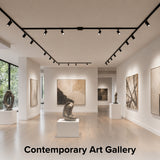 Spacious art gallery illuminated with black track lighting powered by a floating canopy feed connector, delivering precise accent lighting for artwork and exhibition displays.