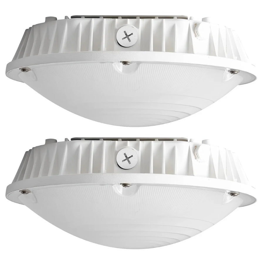 Two white canopy ceiling lights with a textured surface on a white background
