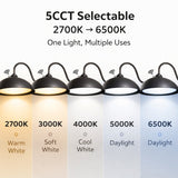 gooseneck barn lights led with 5cct selectable at switchtoled