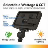 Lighting control device with selectable wattage and CCT on a white background
