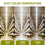 Warehouse interior with three different color temperature lights labeled 3500K, 4000K, and 5000K. LED linear light fixtures